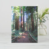 ノーザン・カリフォルニアの巨木トレイル 招待状 (スタンド正面)