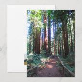 ノーザン・カリフォルニアの巨木トレイル 招待状 (正面/裏面)