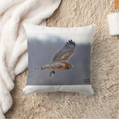 ノーザン·ハリア クッション (ブランケット)