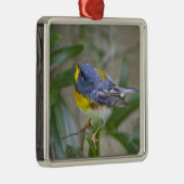 ノーザン+パルラ (Parula americana) メタルオーナメント (右)