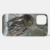ノーザン・ピグミー・フクロウ iPhone 12 ケース Case-Mate iPhoneケース (裏面 (横))