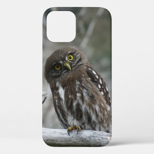 ノーザン・ピグミー・フクロウ iPhone 12 ケース Case-Mate iPhoneケース (裏面)