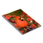 ノーザン（鳥）ショウジョウコウカンチョウインコモンWinterberry ノートブック (右側)