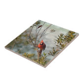 ノーザン（鳥）ショウジョウコウカンチョウインワックスマートル タイル (側面)