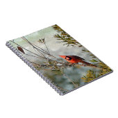 ノーザン（鳥）ショウジョウコウカンチョウインワックスマートル ノートブック (右側)