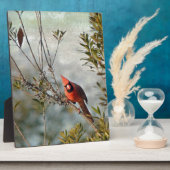 ノーザン(鳥)ショウジョウコウカンチョウインワックスマートル フォトプラーク (側面)