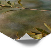 ノーザン(鳥)ショウジョウコウカンチョウインワックスマートル ポスター (角)