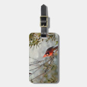 ノーザン（鳥）ショウジョウコウカンチョウインワックスマートル ラゲッジタグ (正面縦)