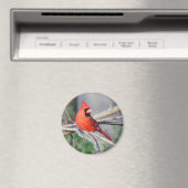 ノーザン（鳥）ショウジョウコウカンチョウウッズ マグネット (インサイチュ (食洗機))