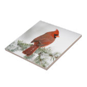 ノーザン（鳥）ショウジョウコウカンチョウオスon Blue Atlas Cedar タイル (側面)