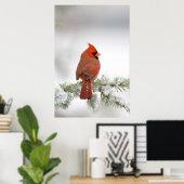 ノーザン(鳥)ショウジョウコウカンチョウオスon Blue Atlas Cedar ポスター (ホームオフィス)