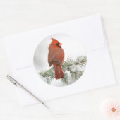 ノーザン（鳥）ショウジョウコウカンチョウオスon Blue Atlas Cedar ラウンドシール (封筒)