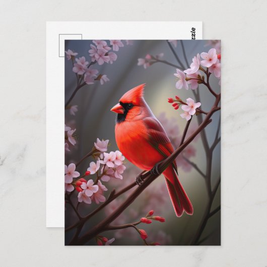 ノーザン(鳥)ショウジョウコウカンチョウオハイオレッドバードアートハガキ ポストカード (正面/裏面)