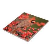 ノーザン(鳥)ショウジョウコウカンチョウオンコモンWinterberry タイル (側面)