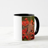 ノーザン（鳥）ショウジョウコウカンチョウオンコモンWinterberry マグカップ (正面右)