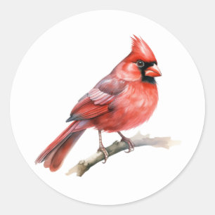 ノーザン(鳥)ショウジョウコウカンチョウソンバードシール ラウンドシール