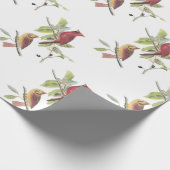 ノーザン(鳥)ショウジョウコウカンチョウバイアウドゥボン ラッピングペーパー (角)