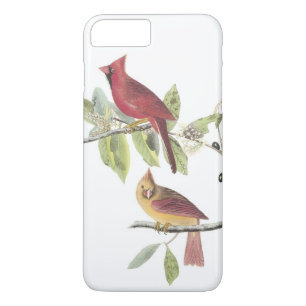 ノーザン（鳥）ショウジョウコウカンチョウバイアウドゥボン iPhone 8 PLUS/7 PLUSケース