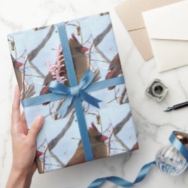 ノーザン（鳥）ショウジョウコウカンチョウフォトラッピング紙 ラッピングペーパー