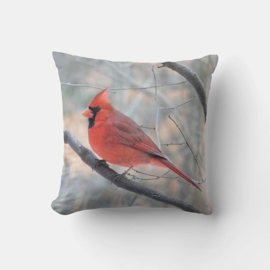 ノーザン（鳥）ショウジョウコウカンチョウプロファイル装飾用クッション クッション (正面)