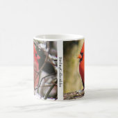 ノーザン（鳥）ショウジョウコウカンチョウマグバイバーディングコレクティブル コーヒーマグカップ (中央)