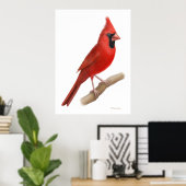 ノーザン（鳥）ショウジョウコウカンチョウレッドバードプリント ポスター (ホームオフィス)