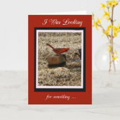 ノーザン（鳥）ショウジョウコウカンチョウ誕生日カード カード (黄色い花)