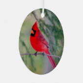 ノーザン(鳥)ショウジョウコウカンチョウ金属オーナメント メタルオーナメント (正面右)