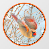 ノーザン(鳥)ショウジョウコウカンチョウ飛んでいる-オリジナル写真 ウィンドウサイン (シート)