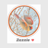 ノーザン（鳥）ショウジョウコウカンチョウ飛んでいる-オリジナル写真 シール (シート)