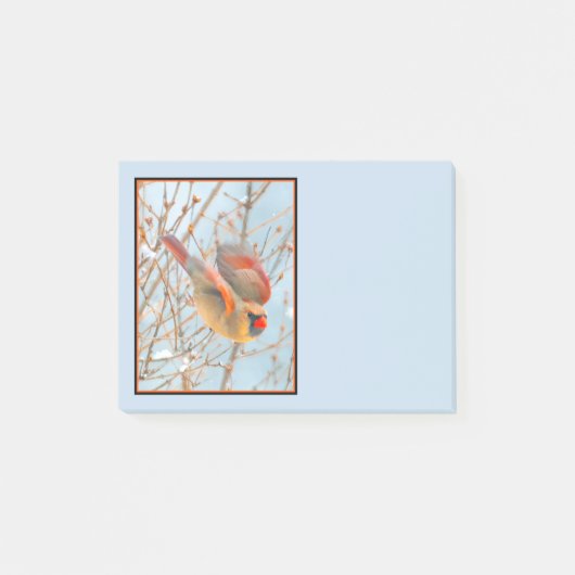 ノーザン（鳥）ショウジョウコウカンチョウ飛んでいる-オリジナル写真 ポストイット (正面)