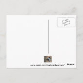 ノーザン（鳥）ショウジョウコウカンチョウ ポストカード (裏面)