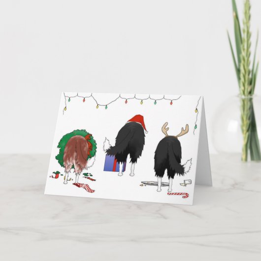 ノーシンお尻アコリー縁どスクリスマス シーズンカード (正面)