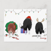 ノーシンお尻アコリー縁どスクリスマス シーズンポストカード (正面)