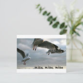 ノーシー・ガルズ ポストカード (スタンド正面)