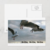 ノーシー・ガルズ ポストカード (正面/裏面)