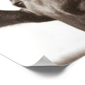 ノージー牛 ポスター (角)