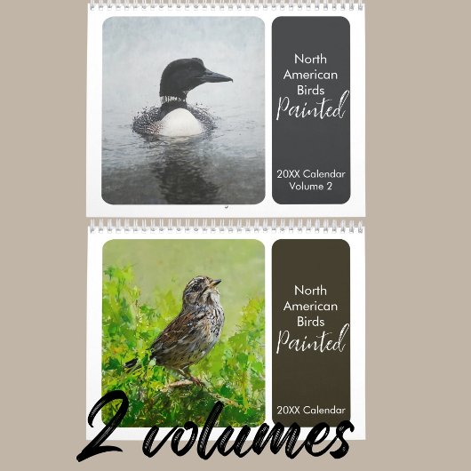 ノースアメリ絵を描カーズバックヤード野鳥観察 カレンダー