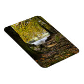 ノースウェールズ州Between-y-coedの秋 マグネット (右側)