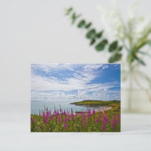 ノースウェールズ海岸線 ポストカード (スタンド正面)