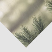 ノースウッズリトルブラックベアキュブティッシュペーパー 薄葉紙 (詳細)