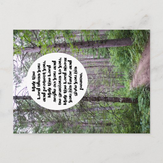 ノースウッズ賛美ズ ポストカード (正面)