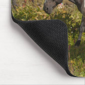 ノースカスカズズ国立公園 マウスパッド (コーナー)