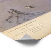 ノースカロライナおよびサウスカロライナ2 ポスター (角)