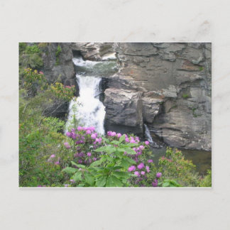 ノースカロライナのリーンビル秋 ポストカード