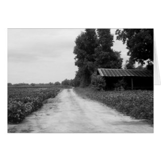 ノースカロライナの古い建物の納屋