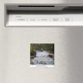 ノースカロライナの滝 マグネット (インサイチュ (食洗機))