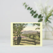 ノースカロライナの祖父の山ヴィンテージ ポストカード (スタンド正面)