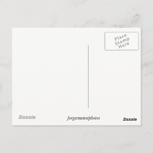 ノースカロライナ州のアウター・バンクス ポストカード (裏面)