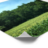 ノースカロライナ州のコーンフィールド ポスター (角)